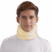 silver collar - silco 2