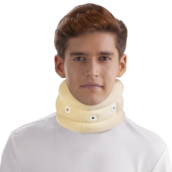 silver collar - silco 2