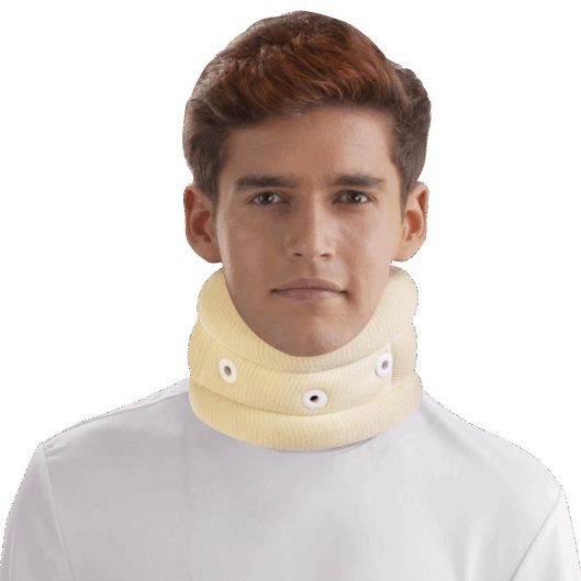 silver collar - silco 2