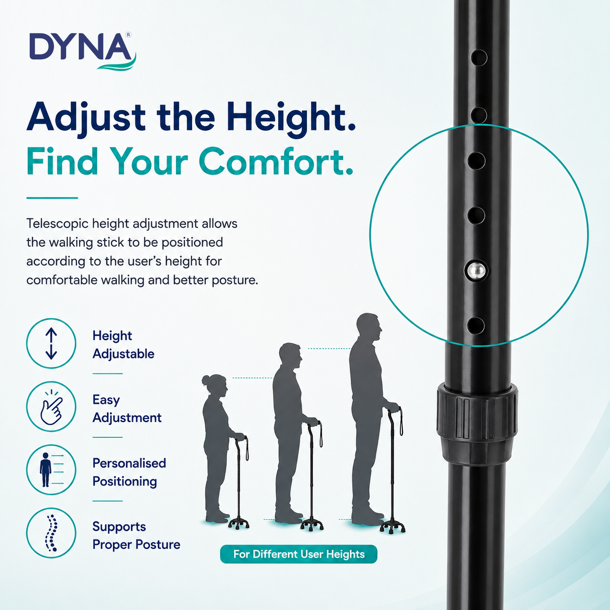 DYNA Walking Stick Quadripoid