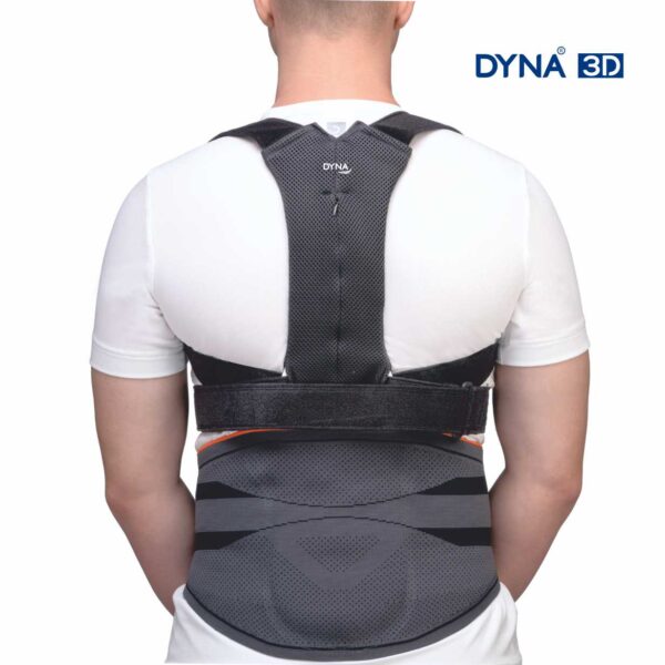 Dyna 3D Spinal Brace