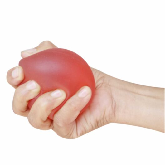 Dyna Exercise Ball