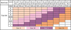 Artificial Breast Size Chart