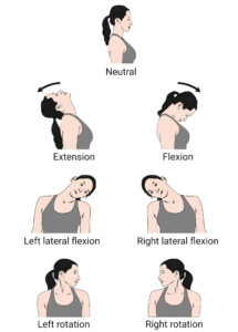 Neck Movement