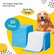 Easypad 2