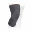 Dyna 3D Knee