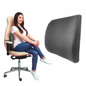 Dyna Back Support Pillow