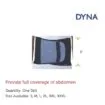 Abdominal support