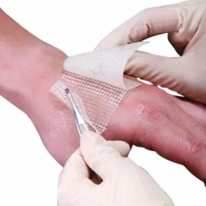 Wellnet 2